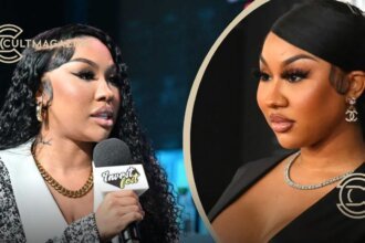 Ari Fletcher Net Worth