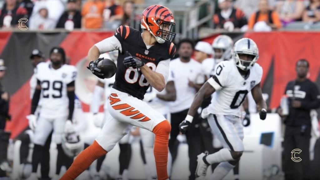 Las Vegas Raiders vs Bengals Performance