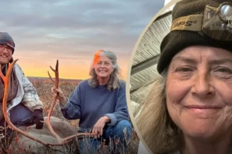 Sue Aikens Net Worth