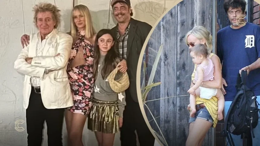 Benicio del Toro Wife